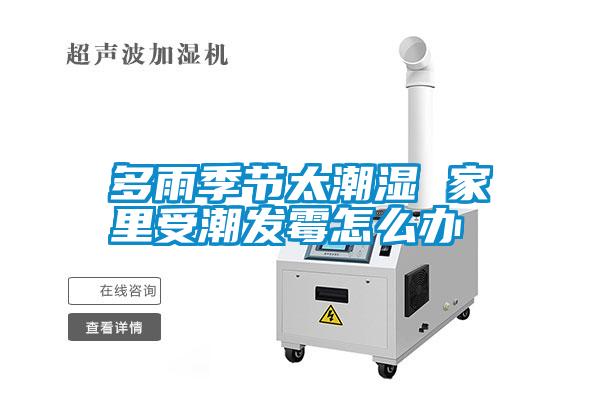 多雨季節太潮濕 家里受潮發霉怎么辦