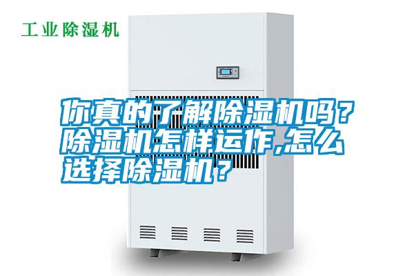 你真的了解除濕機嗎？除濕機怎樣運作,怎么選擇除濕機？