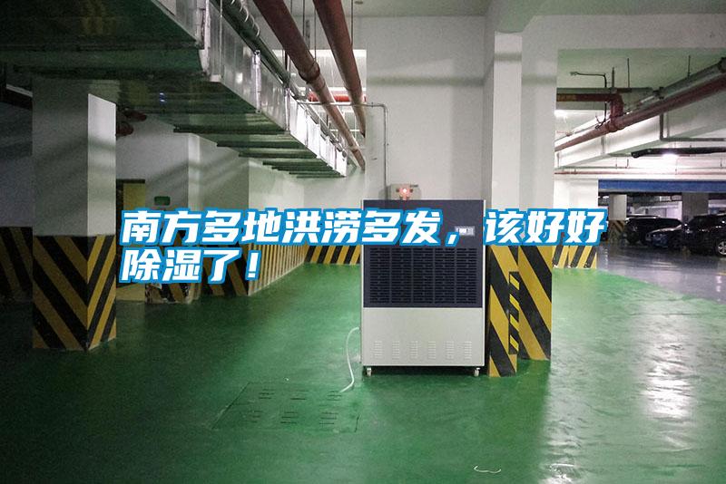 南方多地洪澇多發，該好好除濕了！