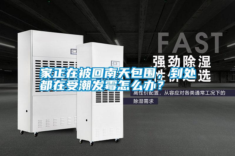 家正在被回南天包圍，到處都在受潮發霉怎么辦？