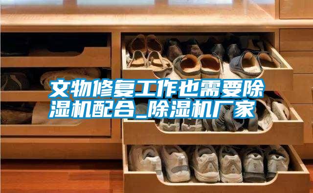文物修復工作也需要除濕機配合_除濕機廠家