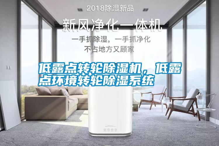 低露點轉(zhuǎn)輪除濕機，低露點環(huán)境轉(zhuǎn)輪除濕系統(tǒng)