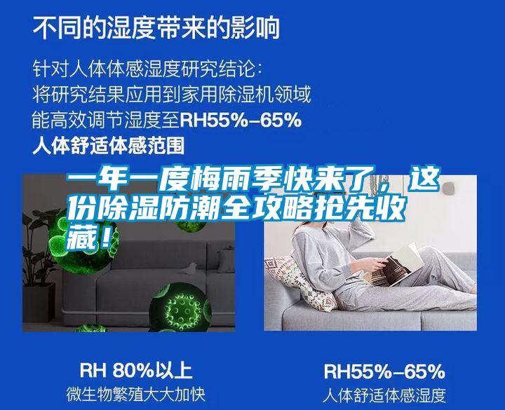 一年一度梅雨季快來了，這份除濕防潮全攻略搶先收藏！