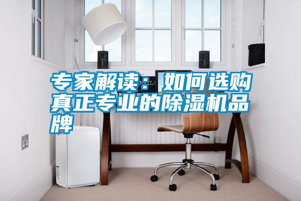專家解讀：如何選購真正專業(yè)的除濕機(jī)品牌