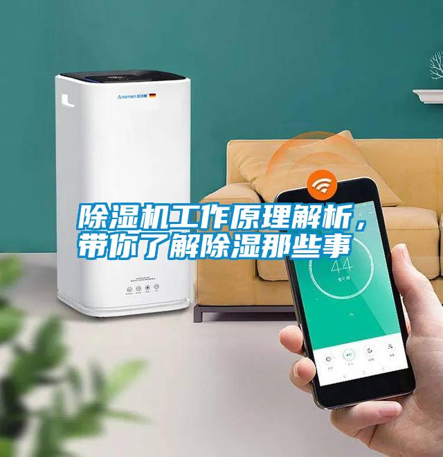 除濕機(jī)工作原理解析，帶你了解除濕那些事