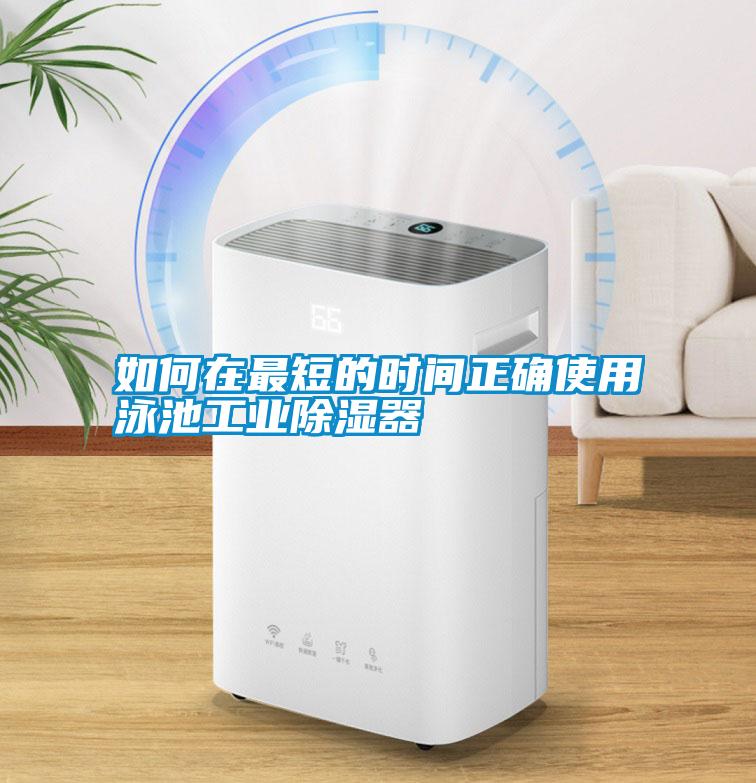如何在最短的時間正確使用泳池工業除濕器