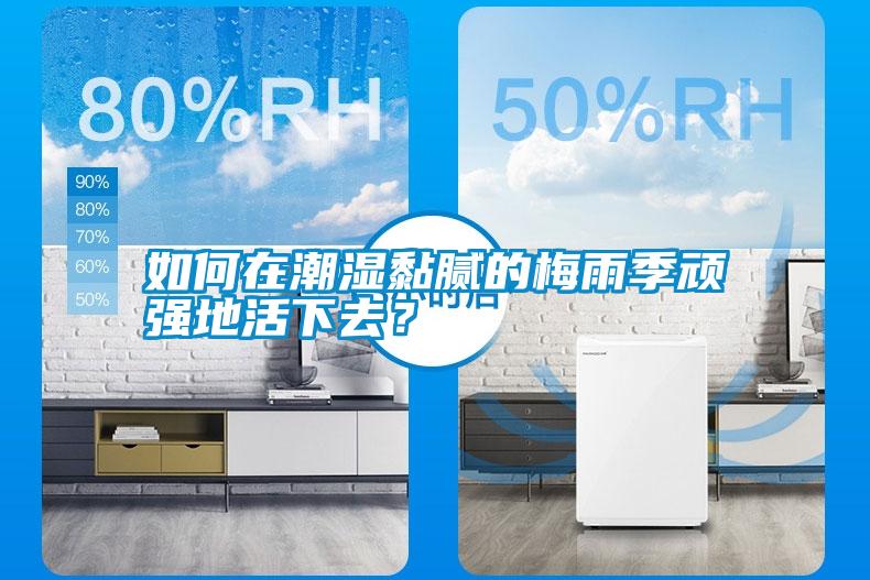 如何在潮濕黏膩的梅雨季頑強(qiáng)地活下去？