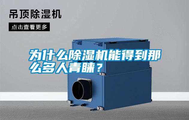 為什么除濕機(jī)能得到那么多人青睞？