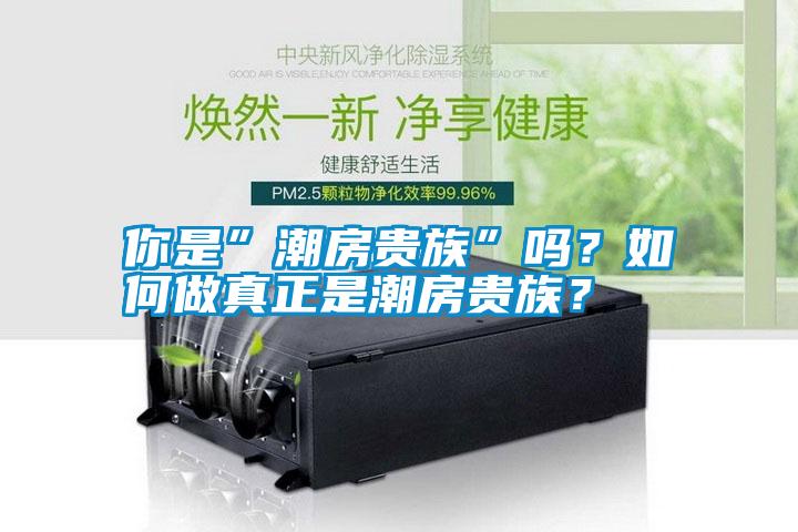 你是”潮房貴族”嗎？如何做真正是潮房貴族？
