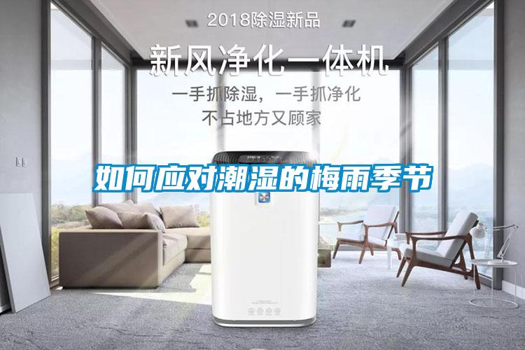 如何應對潮濕的梅雨季節