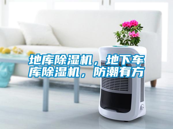 地庫除濕機(jī)，地下車庫除濕機(jī)，防潮有方