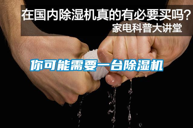 你可能需要一臺除濕機