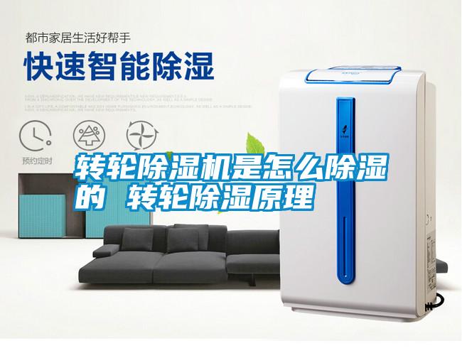 轉(zhuǎn)輪除濕機是怎么除濕的 轉(zhuǎn)輪除濕原理