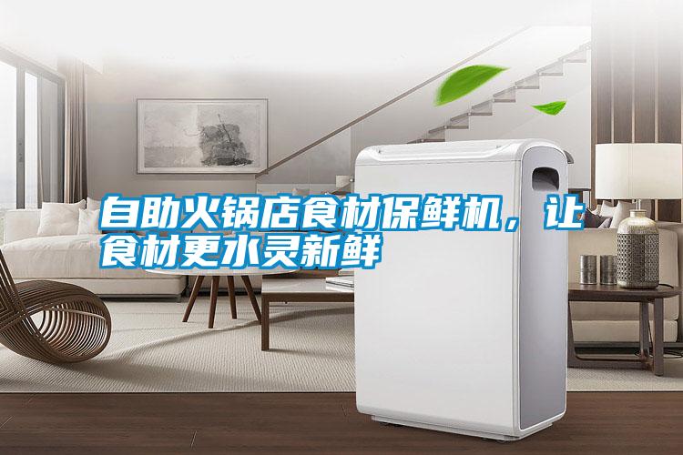 自助火鍋店食材保鮮機，讓食材更水靈新鮮
