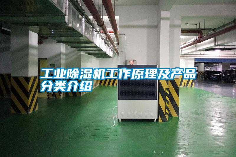 工業除濕機工作原理及產品分類介紹