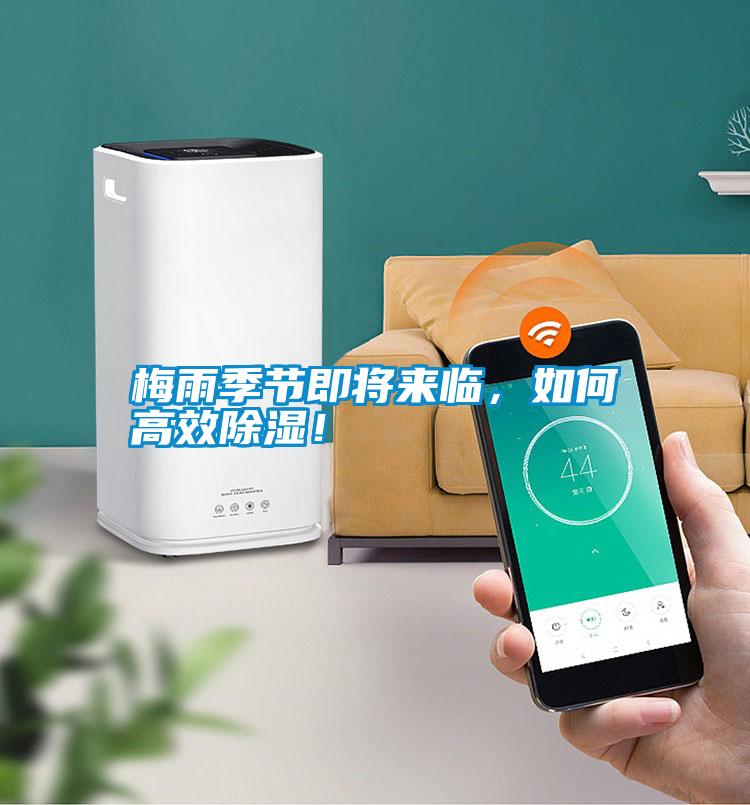 梅雨季節即將來臨，如何高效除濕！