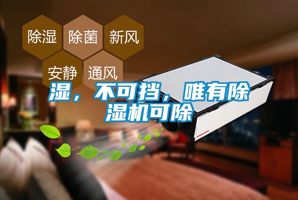 濕，不可擋，唯有除濕機(jī)可除