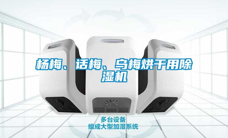 楊梅、話梅、烏梅烘干用除濕機(jī)