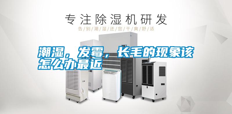 潮濕，發霉，長毛的現象該怎么辦最近