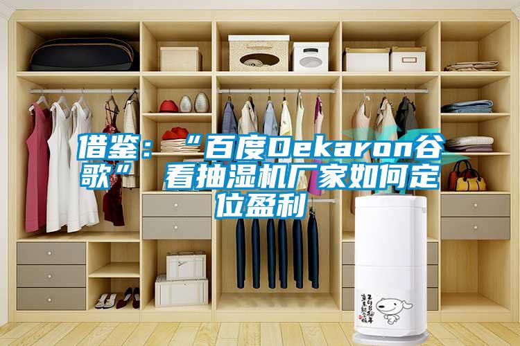 借鑒：“百度Dekaron谷歌” 看抽濕機廠家如何定位盈利