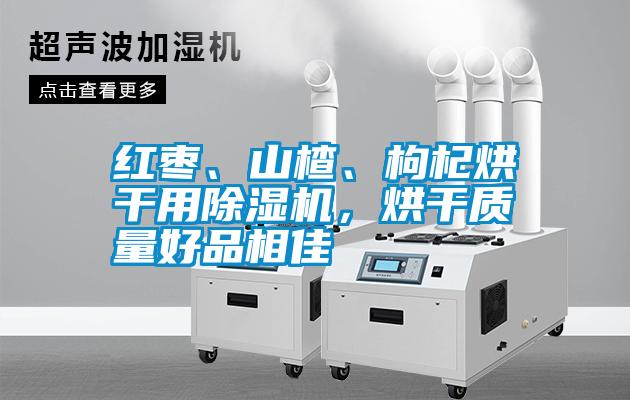 紅棗、山楂、枸杞烘干用除濕機，烘干質量好品相佳