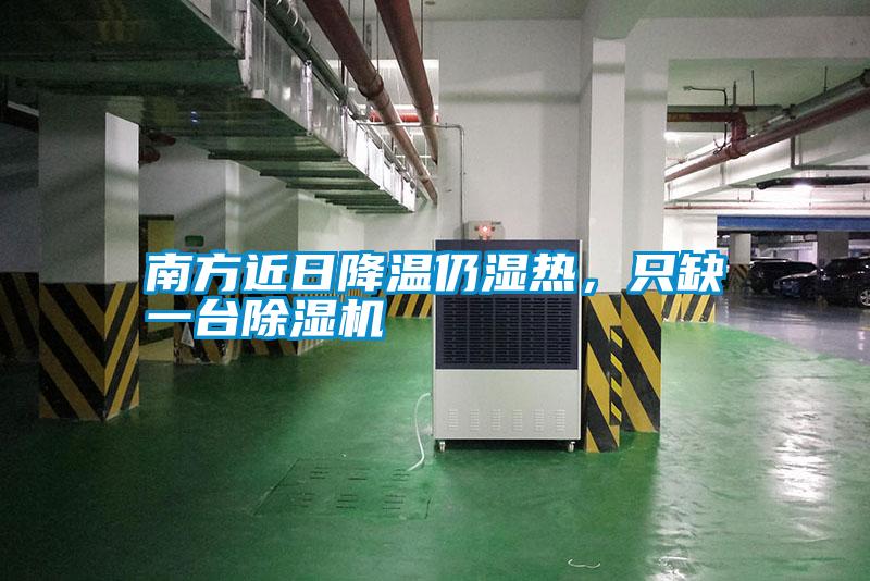 南方近日降溫仍濕熱，只缺一臺除濕機