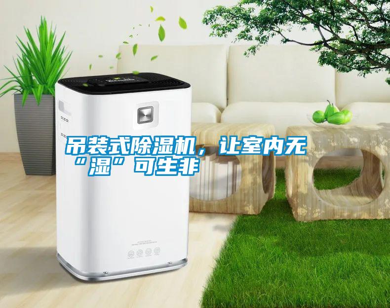 吊裝式除濕機(jī)，讓室內(nèi)無(wú)“濕”可生非