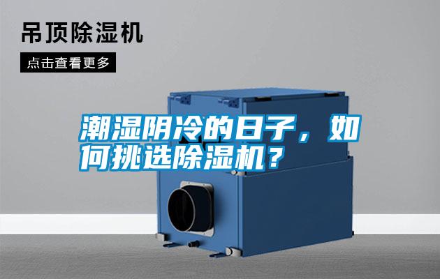 潮濕陰冷的日子，如何挑選除濕機？