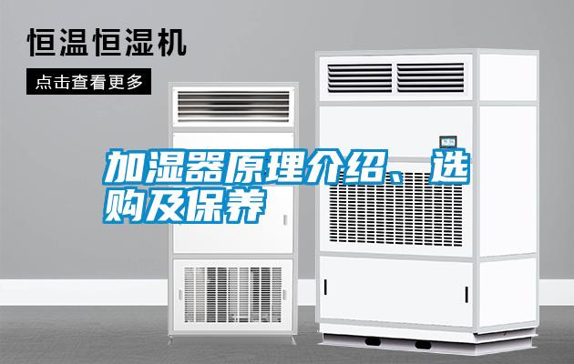 加濕器原理介紹、選購及保養