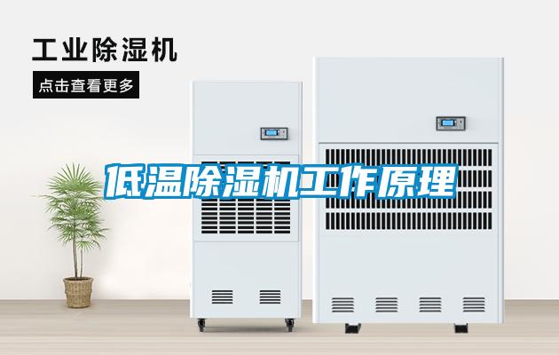 低溫除濕機工作原理