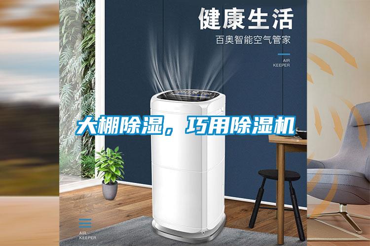 大棚除濕，巧用除濕機(jī)