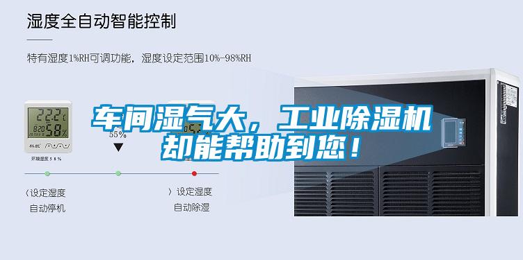 車間濕氣大，工業(yè)除濕機卻能幫助到您！
