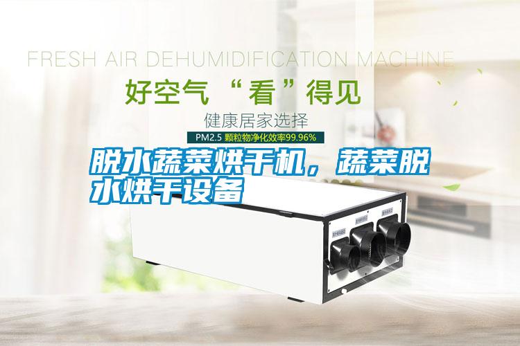 脫水蔬菜烘干機，蔬菜脫水烘干設備