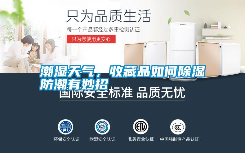 潮濕天氣，收藏品如何除濕防潮有妙招