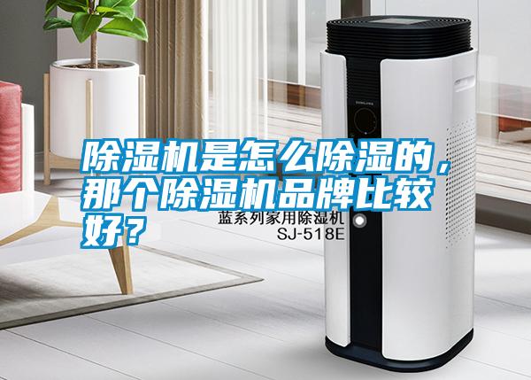 除濕機(jī)是怎么除濕的，那個(gè)除濕機(jī)品牌比較好？
