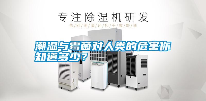 潮濕與霉菌對人類的危害你知道多少？