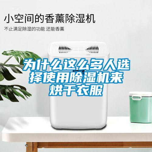 為什么這么多人選擇使用除濕機(jī)來(lái)烘干衣服