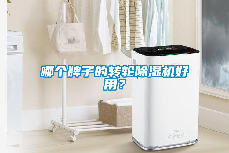 哪個牌子的轉輪除濕機好用？