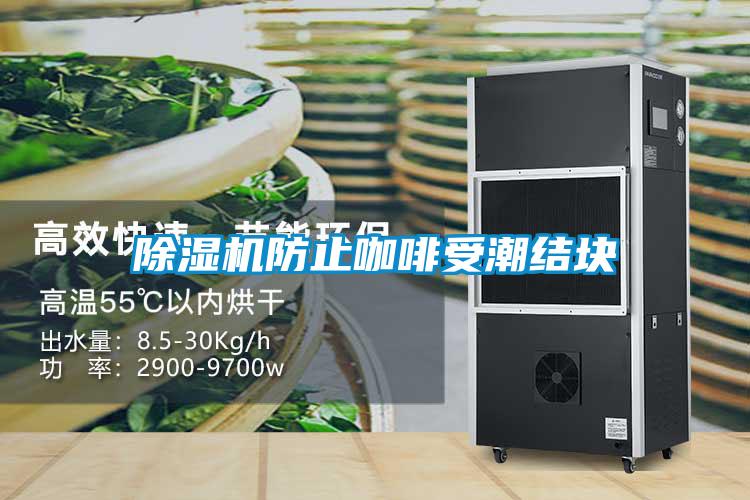 除濕機防止咖啡受潮結塊
