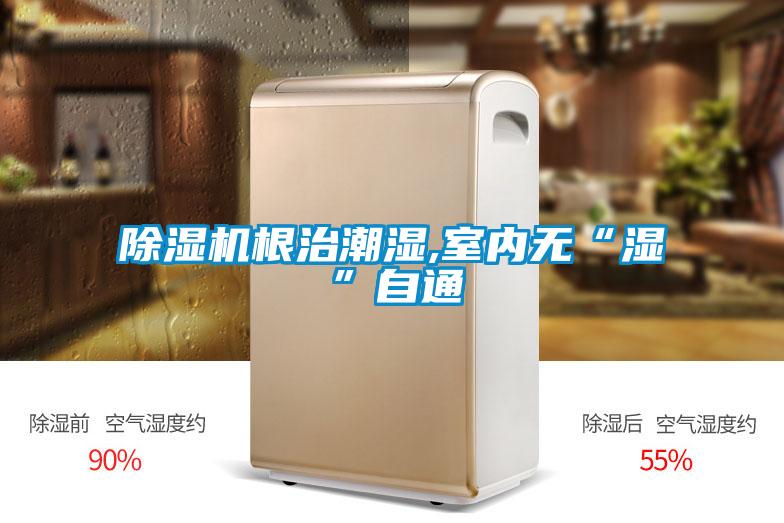 除濕機根治潮濕,室內(nèi)無“濕”自通