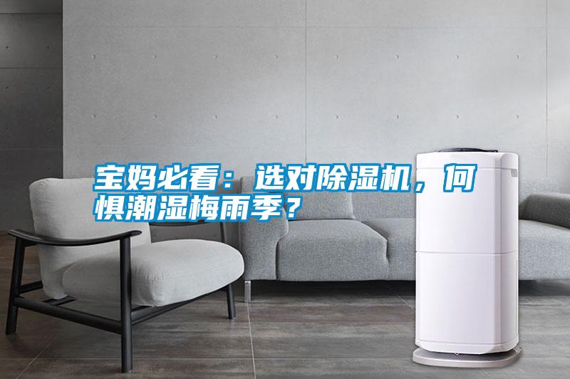 寶媽必看：選對(duì)除濕機(jī)，何懼潮濕梅雨季？