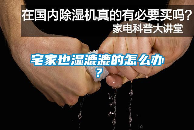 宅家也濕漉漉的怎么辦？