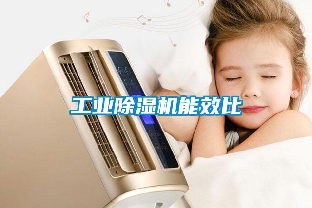工業除濕機能效比