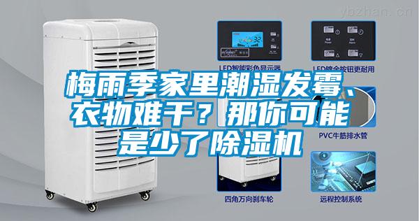 梅雨季家里潮濕發霉、衣物難干？那你可能是少了除濕機