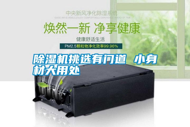 除濕機(jī)挑選有門道 小身材大用處