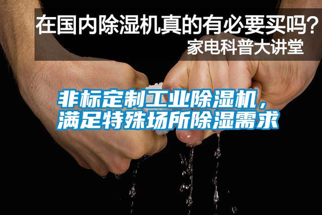 非標(biāo)定制工業(yè)除濕機(jī)，滿足特殊場所除濕需求