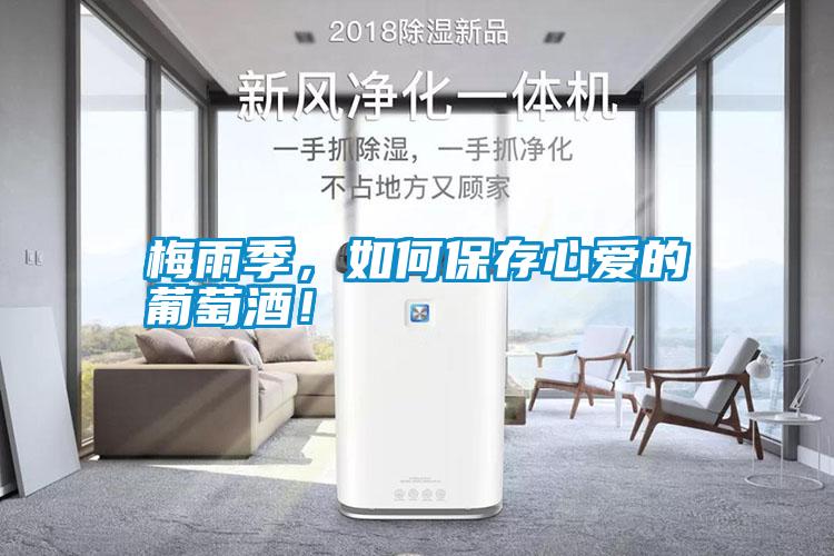 梅雨季，如何保存心愛的葡萄酒！