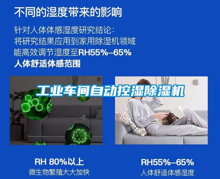 工業(yè)車間自動控濕除濕機