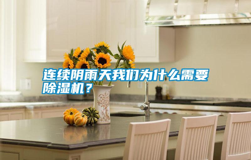 連續陰雨天我們為什么需要除濕機？