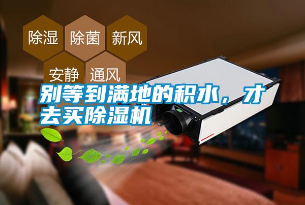 別等到滿地的積水，才去買(mǎi)除濕機(jī)
